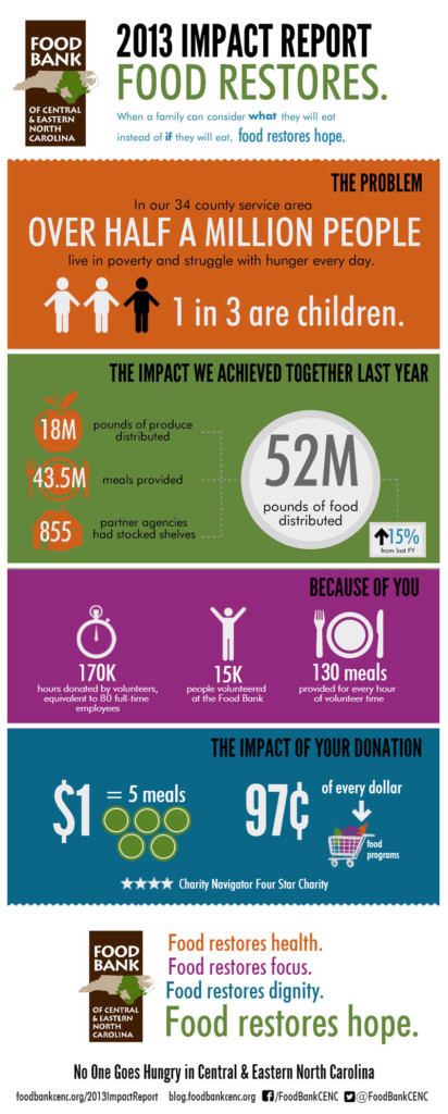 2013 Impact Report Infographic