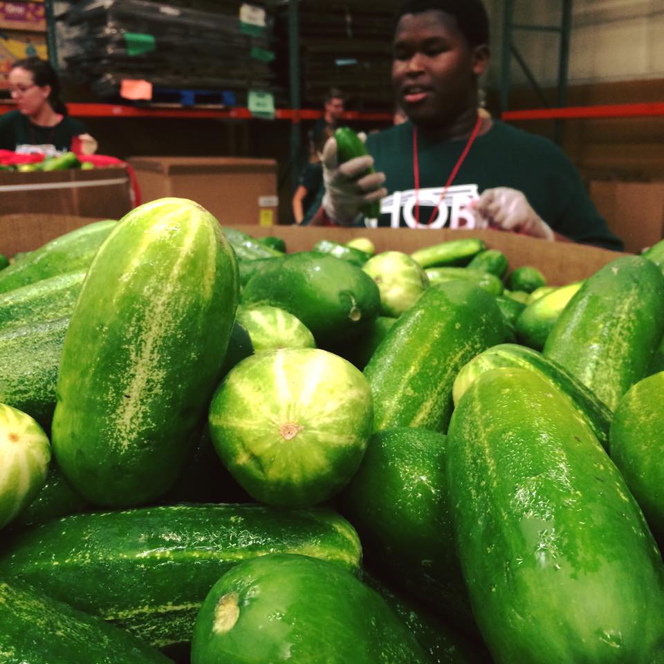 Photo of fresh cucumbers
