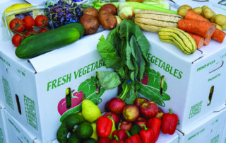 Boxes of fresh vegetables topped in an assortment of fresh squash, carrots, avocados, peppers, apples, grapes, and more.