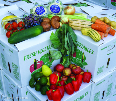 Boxes of fresh vegetables topped in an assortment of fresh squash, carrots, avocados, peppers, apples, grapes, and more. 