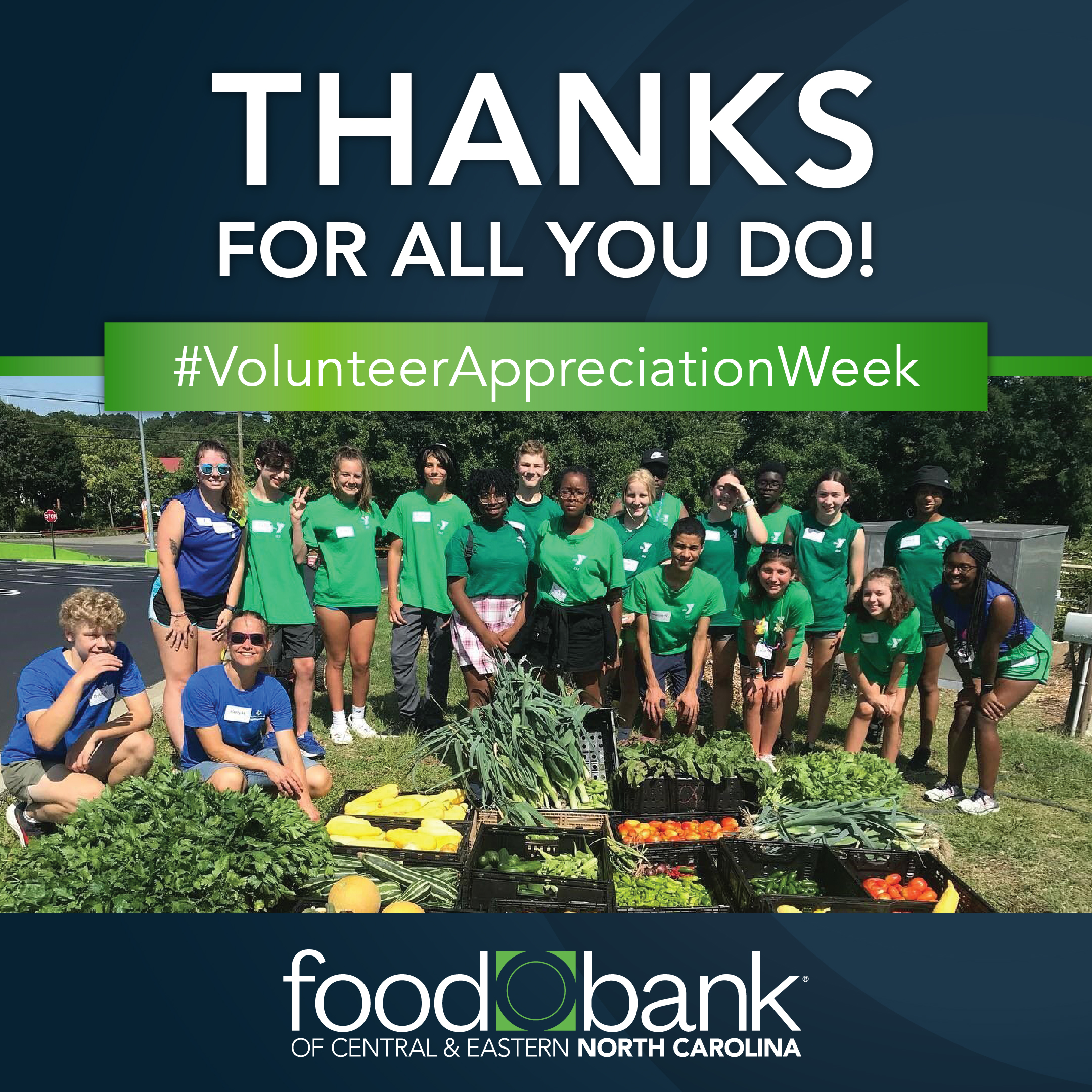 Celebrating the Incredible Impact of Food Bank Volunteers